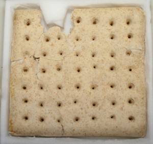 Biscuit from the early 20th century, possibly First World War 1914-18.